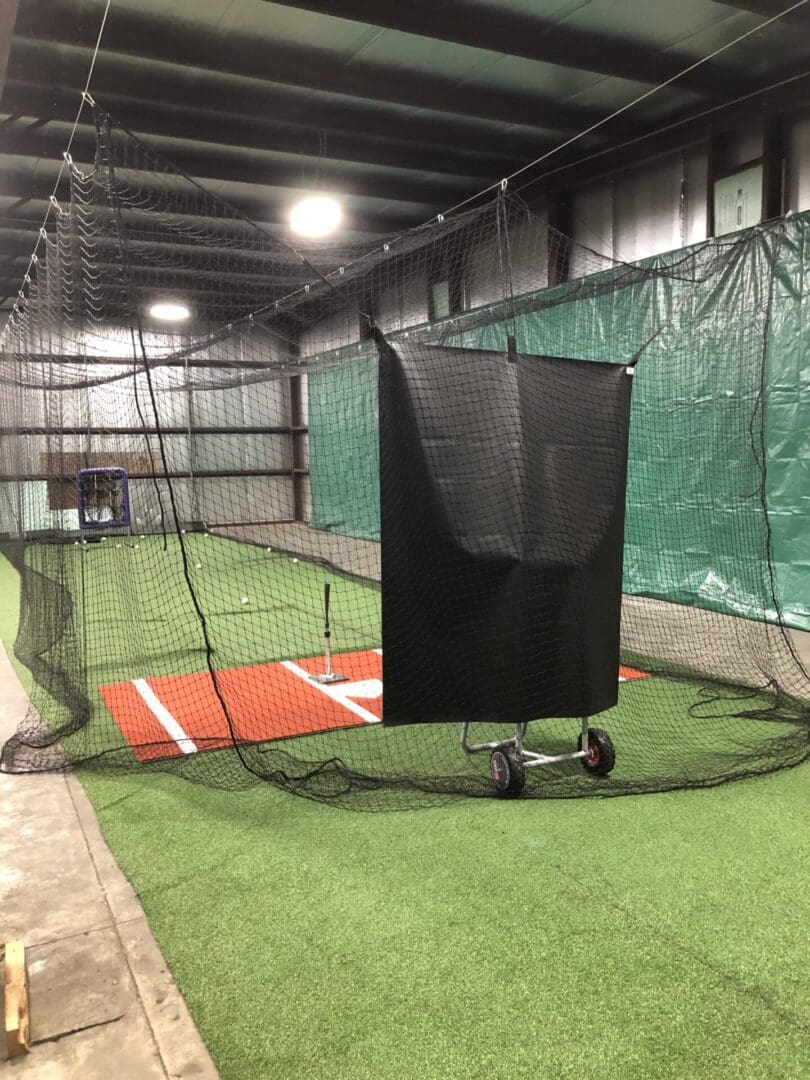 Starting to envison more cages and space getting cleaned